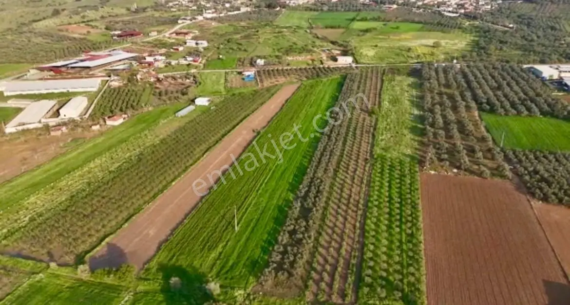 Şahin Gayrimenkul Den Alacalı Köyünde Acil Satılık Yatırımlık Tarla — fotoğraf 5