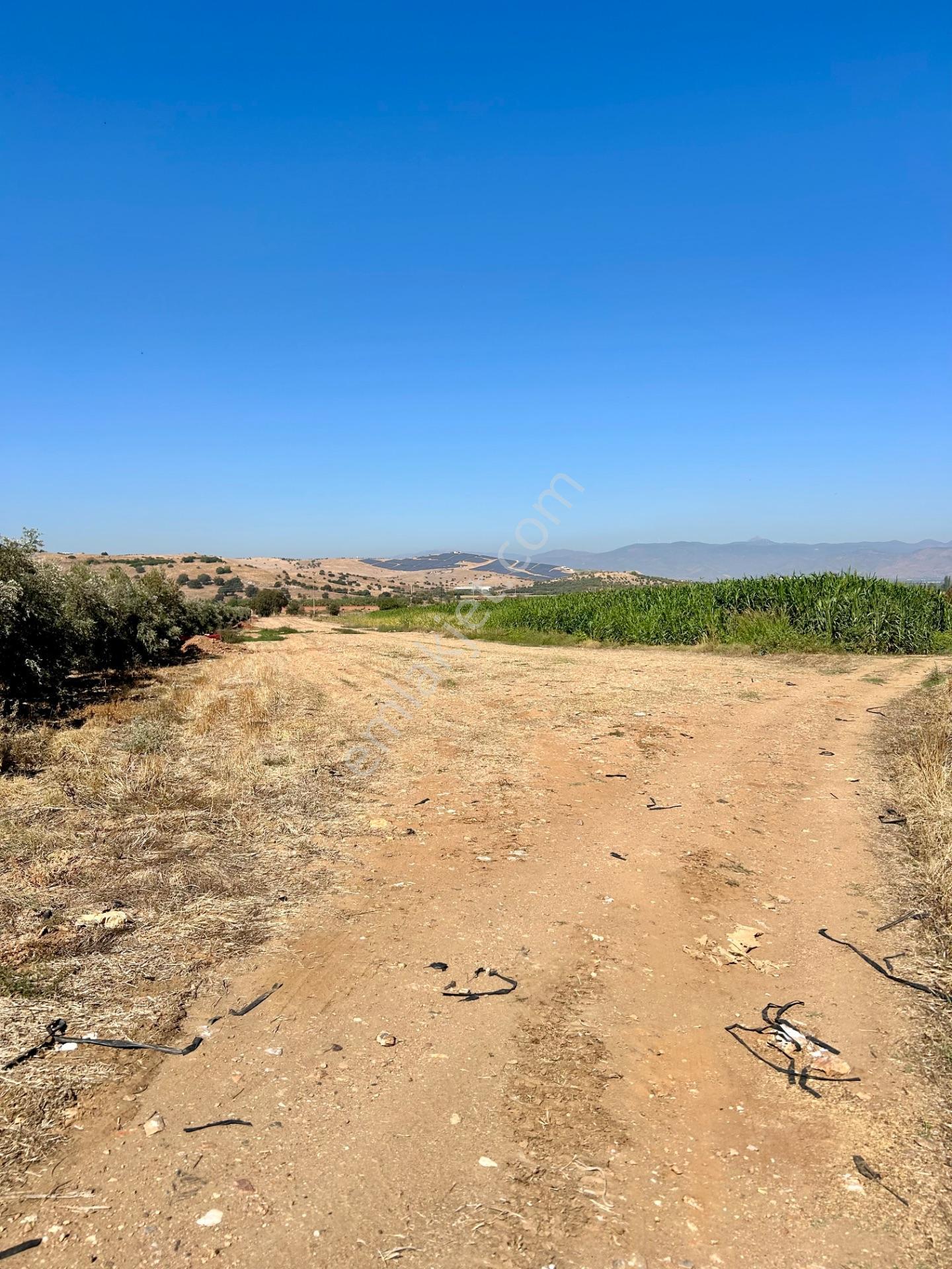 Şahin Gayrimenkul Den Alacalı Köyünde Acil Satılık Yatırımlık Tarla — fotoğraf 6