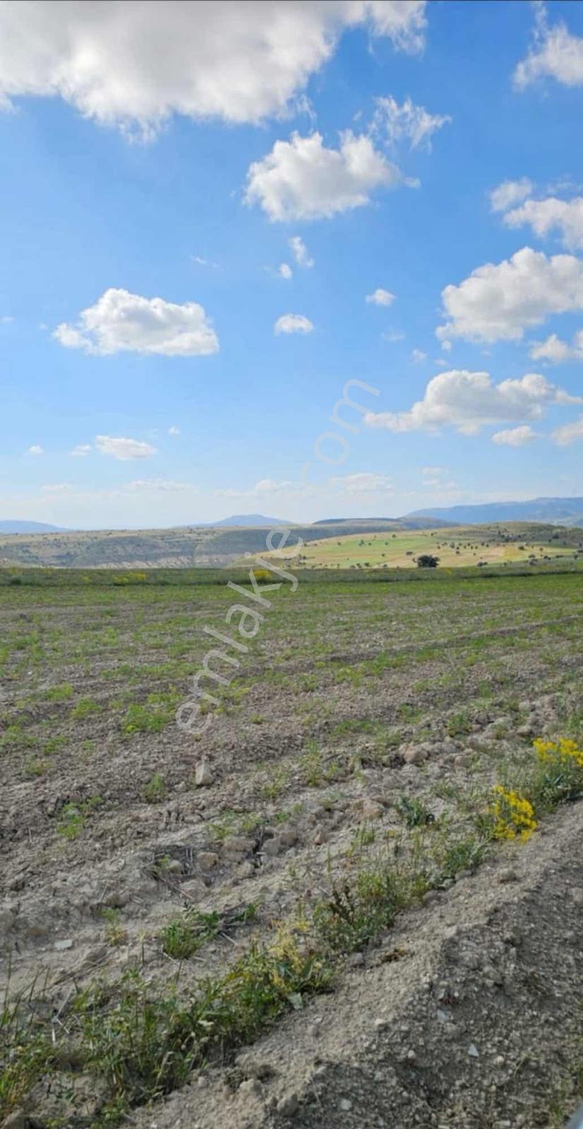 Mut Ballı'Da 13.176 M² Tarla, Yanında 2 Parsel Daha