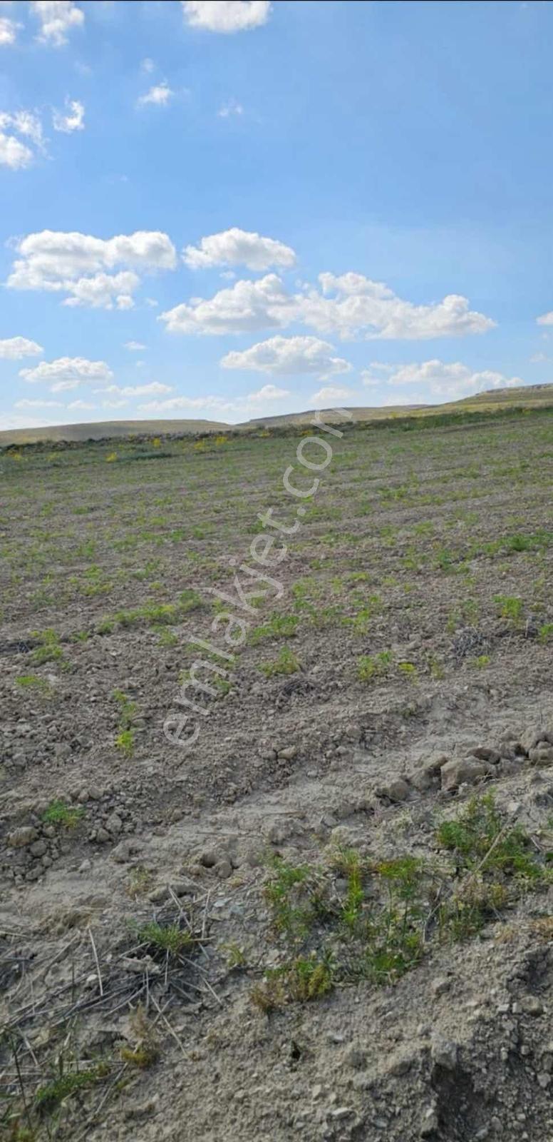 Mut Ballı'da 13.176 M² Tarla, Yanında 2 Parsel Daha — fotoğraf 5
