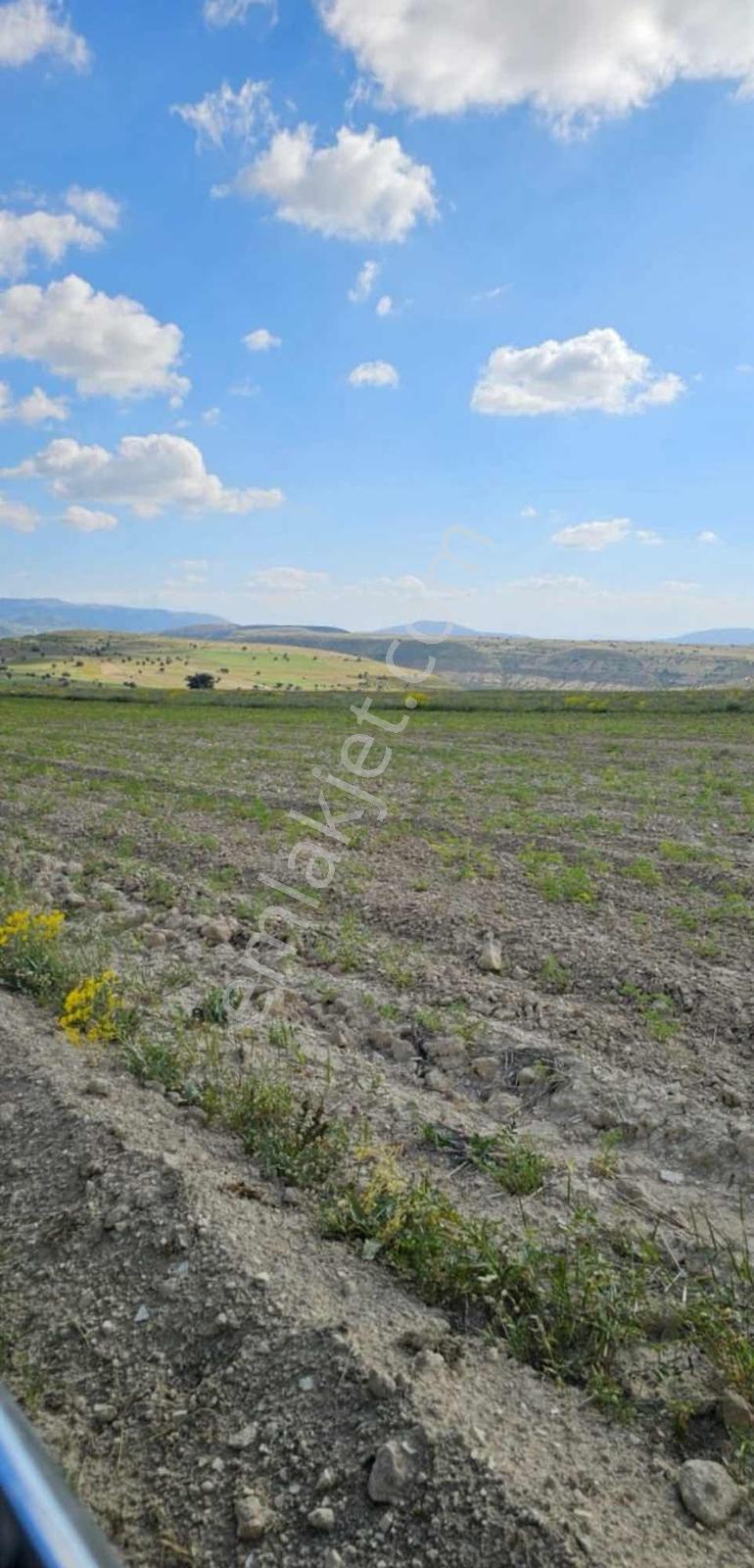Mut Ballı'da 13.176 M² Tarla, Yanında 2 Parsel Daha — fotoğraf 6