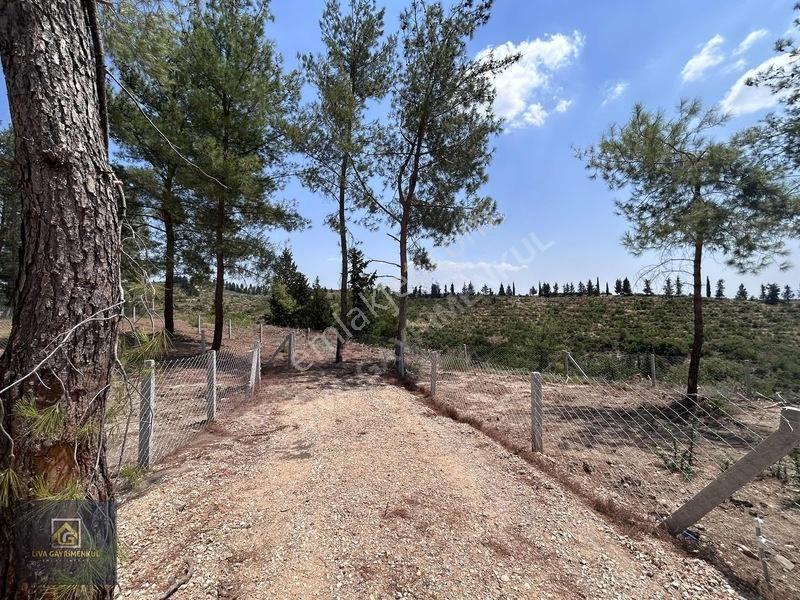 Torbalı Demircili'De Satılık Arsa: 252M², Araç Takaslı, Hazır Al