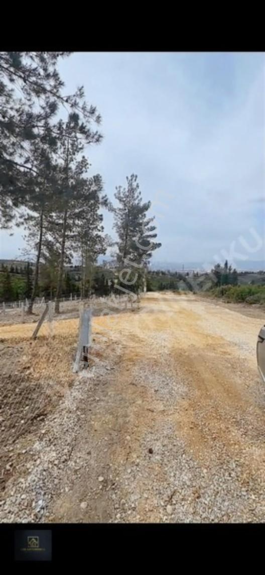 Torbalı Demircili'de Satılık Arsa: 252m², Araç Takaslı, Hazır Al — fotoğraf 2