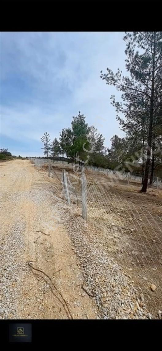 Torbalı Demircili'de Satılık Arsa: 252m², Araç Takaslı, Hazır Al — fotoğraf 3