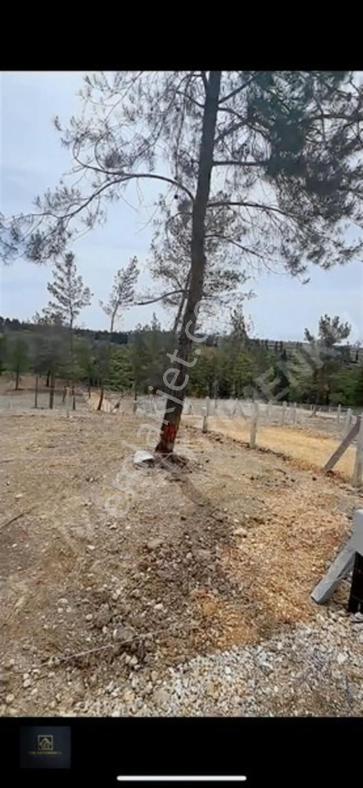 Torbalı Demircili'de Satılık Arsa: 252m², Araç Takaslı, Hazır Al — fotoğraf 4