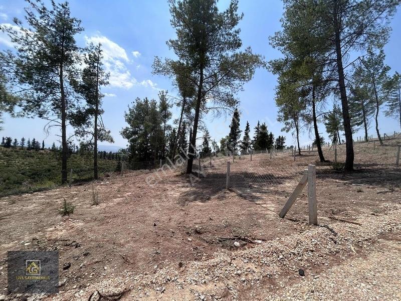 Torbalı Demircili'de Satılık Arsa: 252m², Araç Takaslı, Hazır Al — fotoğraf 5