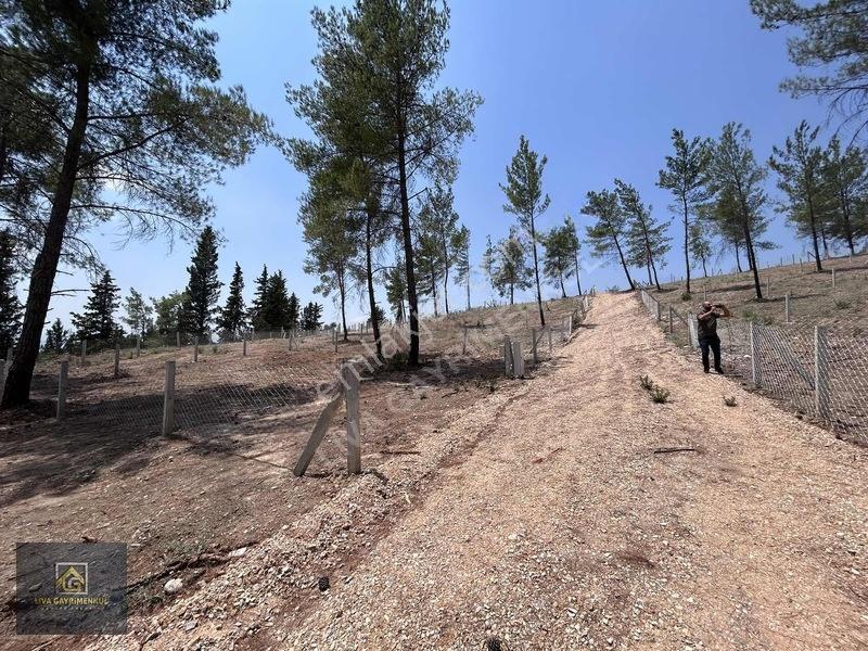 Torbalı Demircili'de Satılık Arsa: 252m², Araç Takaslı, Hazır Al — fotoğraf 6