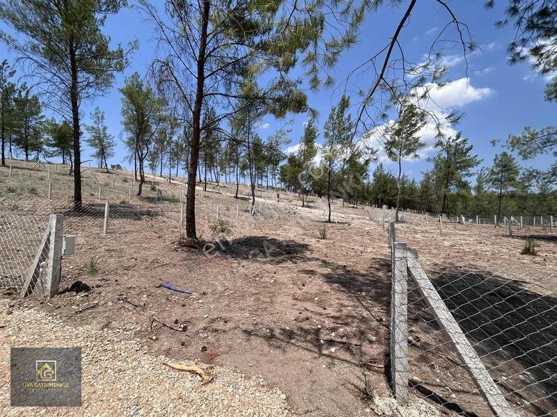 Torbalı Demircili'de Satılık Arsa: 252m², Araç Takaslı, Hazır Al — fotoğraf 7
