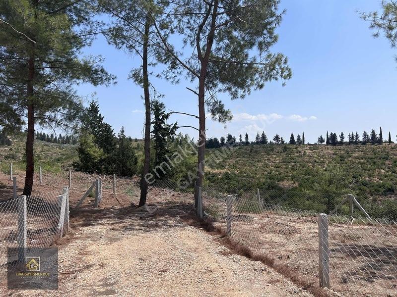 Torbalı Demircili'de Satılık Arsa: 252m², Araç Takaslı, Hazır Al — fotoğraf 8