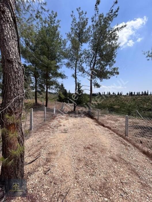 Torbalı Demircili'de Satılık Arsa: 252m², Araç Takaslı, Hazır Al — fotoğraf 9