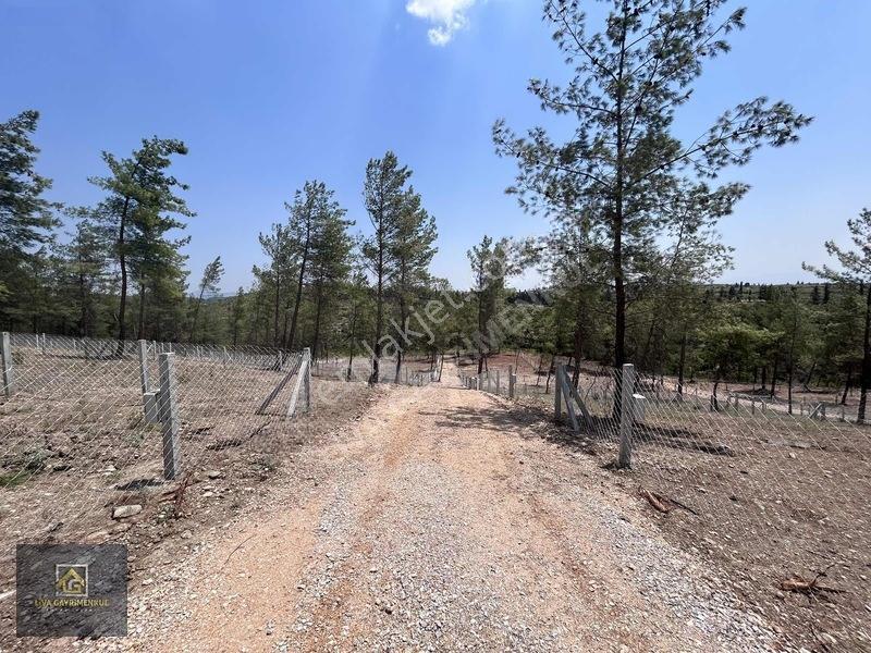 Torbalı Demircili'de Satılık Arsa: 252m², Araç Takaslı, Hazır Al — fotoğraf 10