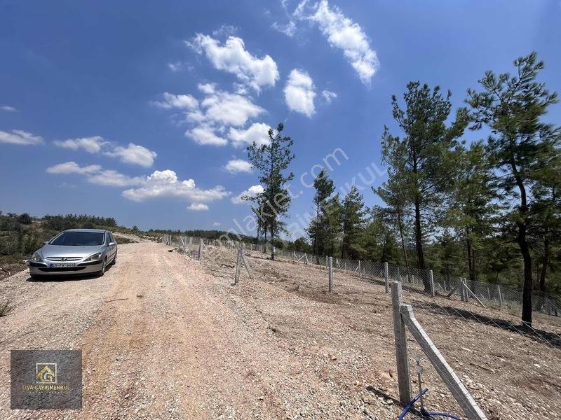 Torbalı Demircili'de Satılık Arsa: 252m², Araç Takaslı, Hazır Al — fotoğraf 11