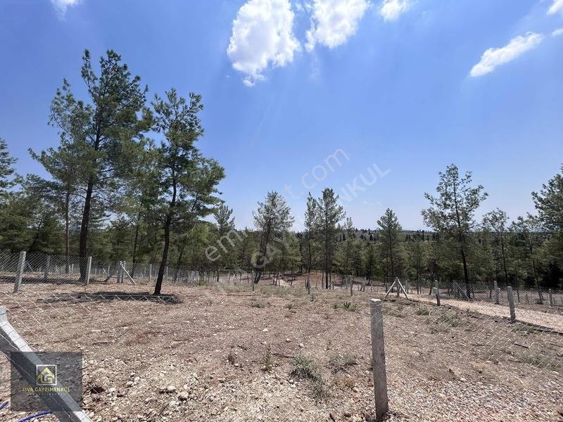 Torbalı Demircili'de Satılık Arsa: 252m², Araç Takaslı, Hazır Al — fotoğraf 12
