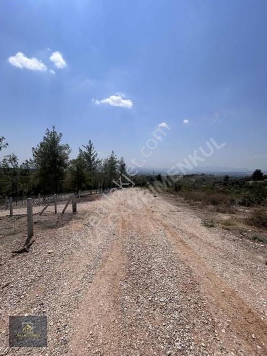 Torbalı Demircili'de Satılık Arsa: 252m², Araç Takaslı, Hazır Al — fotoğraf 13