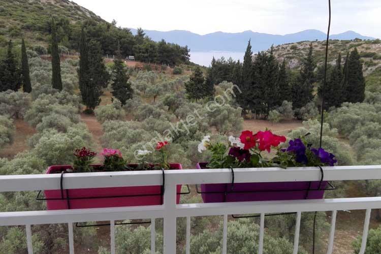 Kuşadası Takasa Uygun Ömür Boyu Tatil Hakkı: Çift Tapu — fotoğraf 16