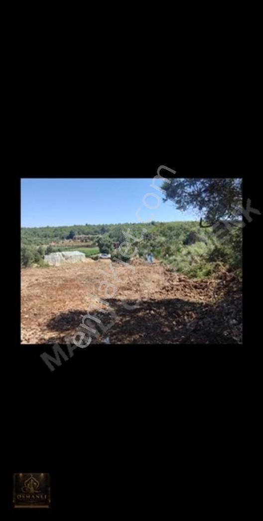Mersin/erdemli Hüsametli Yatırmlık Tek Tapu Arsa — fotoğraf 3