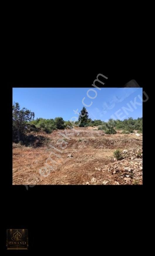 Mersin/erdemli Hüsametli Yatırmlık Tek Tapu Arsa — fotoğraf 4