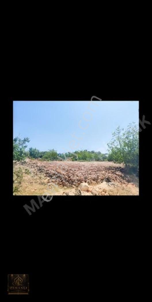 Mersin/erdemli Hüsametli Yatırmlık Tek Tapu Arsa — fotoğraf 6