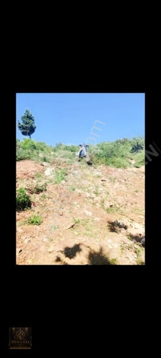 Mersin/erdemli Hüsametli Yatırmlık Tek Tapu Arsa — fotoğraf 8