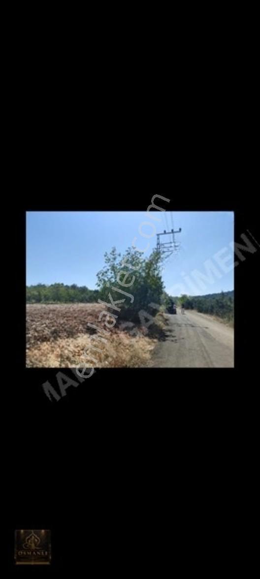 Mersin/erdemli Hüsametli Yatırmlık Tek Tapu Arsa — fotoğraf 10