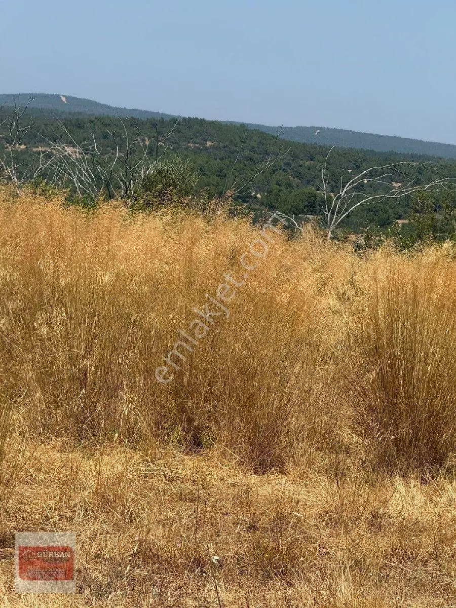 🌿 Urla İçmeler’de Deniz Manzaralı 415 M² Bağımsız Parsel — fotoğraf 3