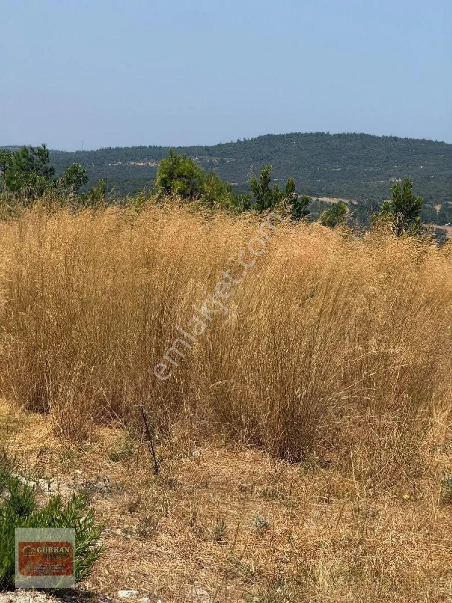 🌿 Urla İçmeler’de Deniz Manzaralı 415 M² Bağımsız Parsel — fotoğraf 4