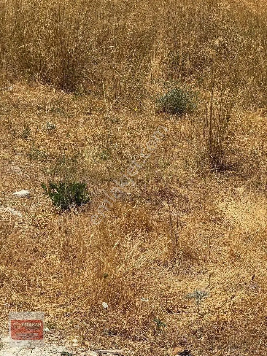 🌿 Urla İçmeler’de Deniz Manzaralı 415 M² Bağımsız Parsel — fotoğraf 5