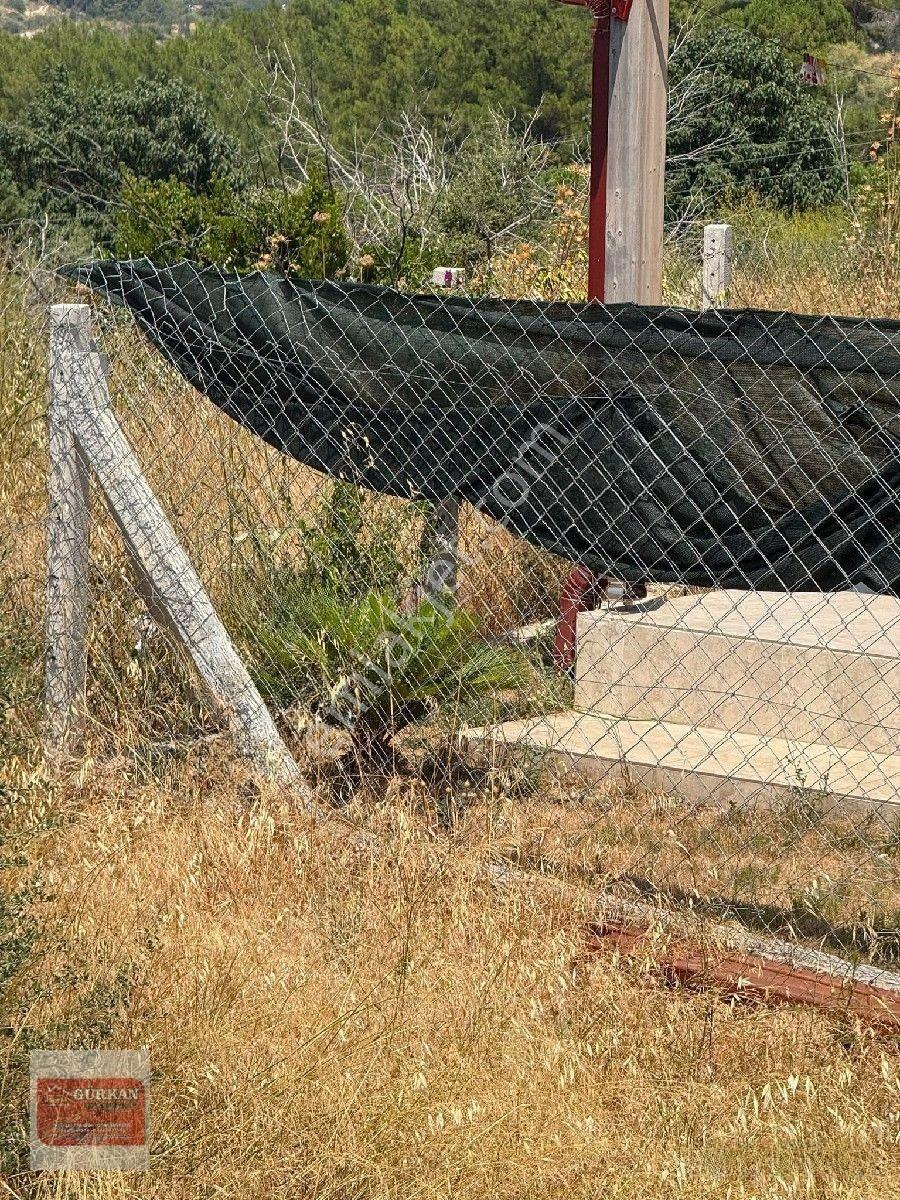 🌿 Urla İçmeler’de Deniz Manzaralı 415 M² Bağımsız Parsel — fotoğraf 12