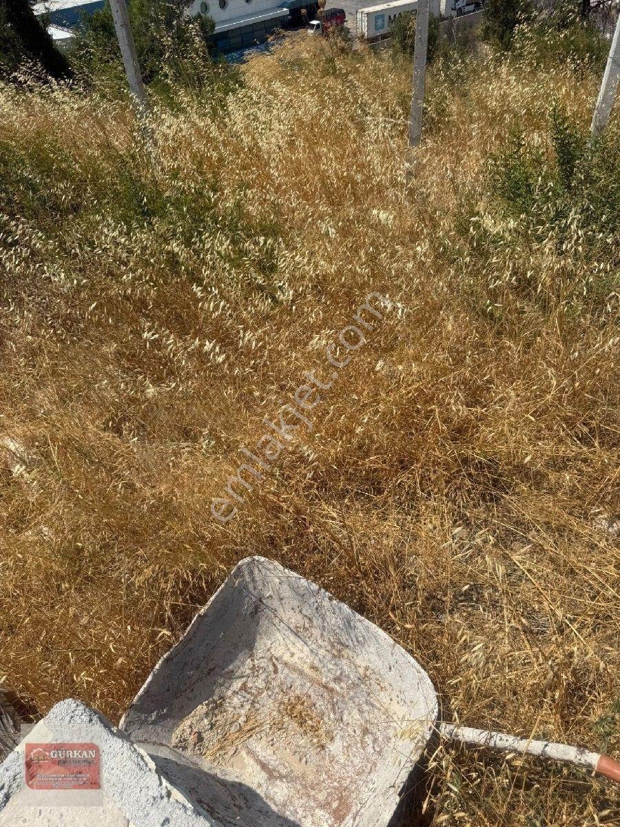🌿 Urla İçmeler’de Deniz Manzaralı 415 M² Bağımsız Parsel — fotoğraf 14