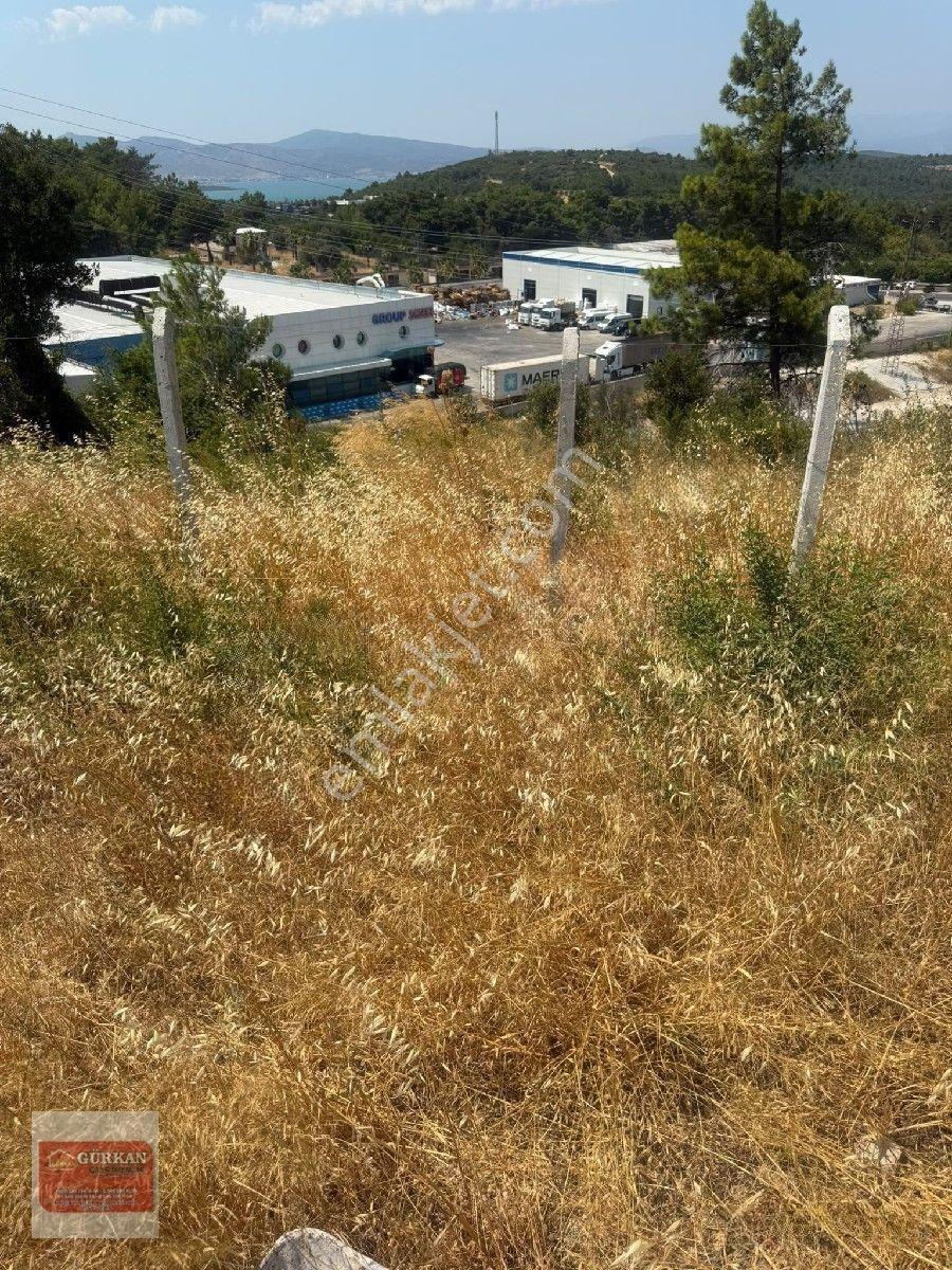 🌿 Urla İçmeler’de Deniz Manzaralı 415 M² Bağımsız Parsel — fotoğraf 15