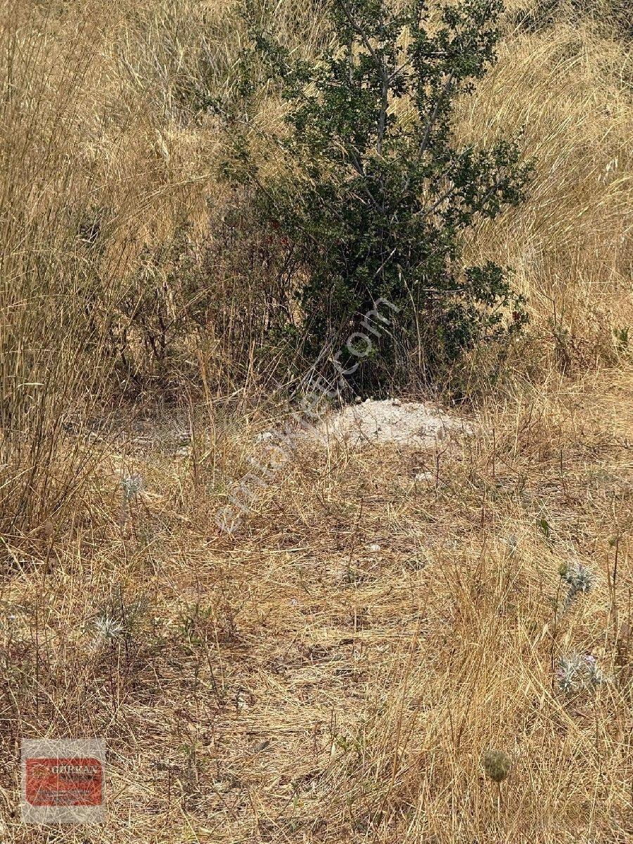 🌿 Urla İçmeler’de Deniz Manzaralı 415 M² Bağımsız Parsel — fotoğraf 17