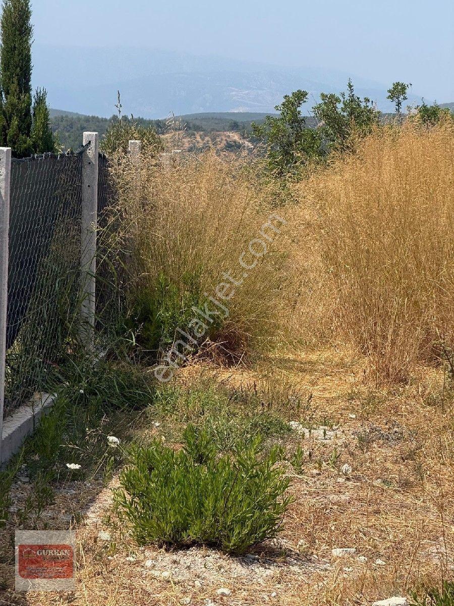 🌿 Urla İçmeler’de Deniz Manzaralı 415 M² Bağımsız Parsel — fotoğraf 18