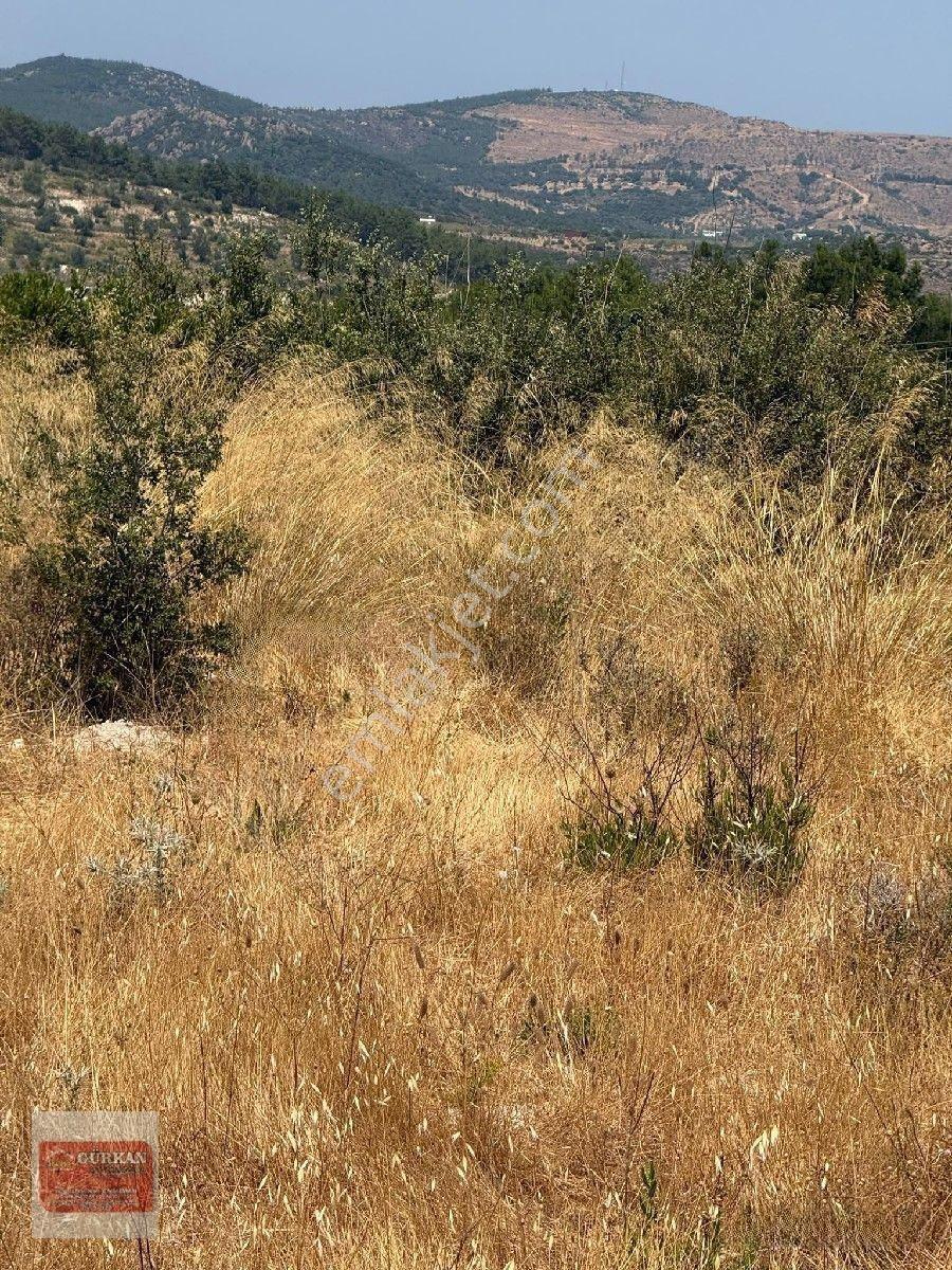 🌿 Urla İçmeler’de Deniz Manzaralı 415 M² Bağımsız Parsel — fotoğraf 19