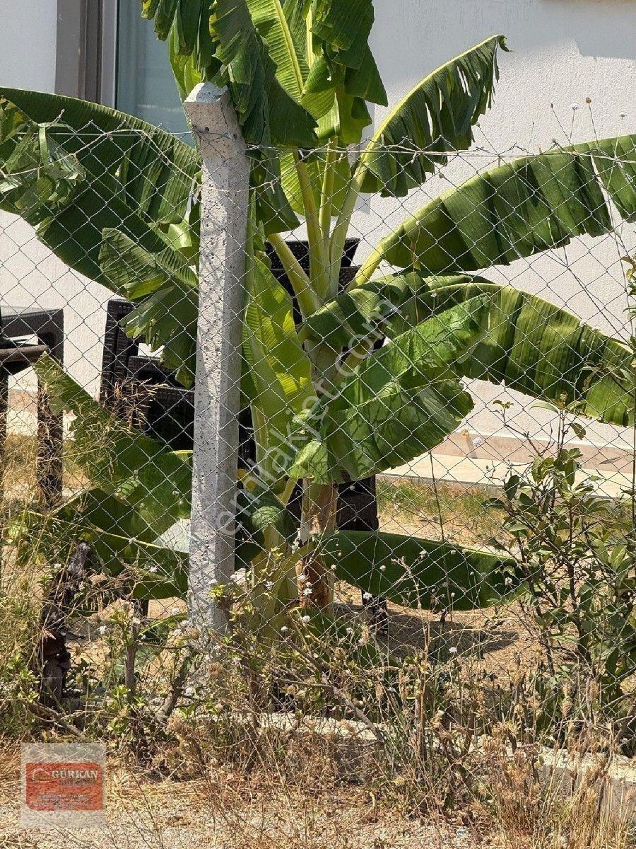 🌿 Urla İçmeler’de Deniz Manzaralı 415 M² Bağımsız Parsel — fotoğraf 20