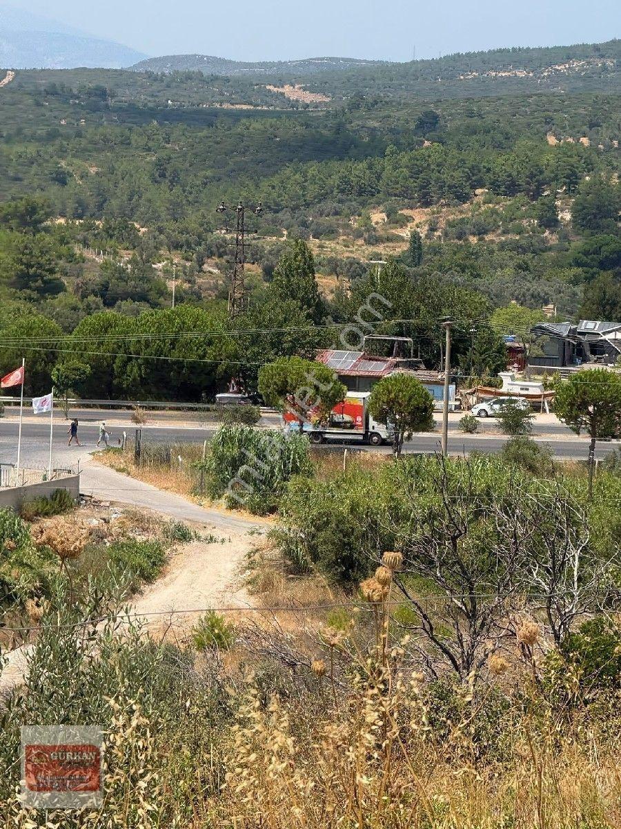 🌿 Urla İçmeler’de Deniz Manzaralı 415 M² Bağımsız Parsel — fotoğraf 22