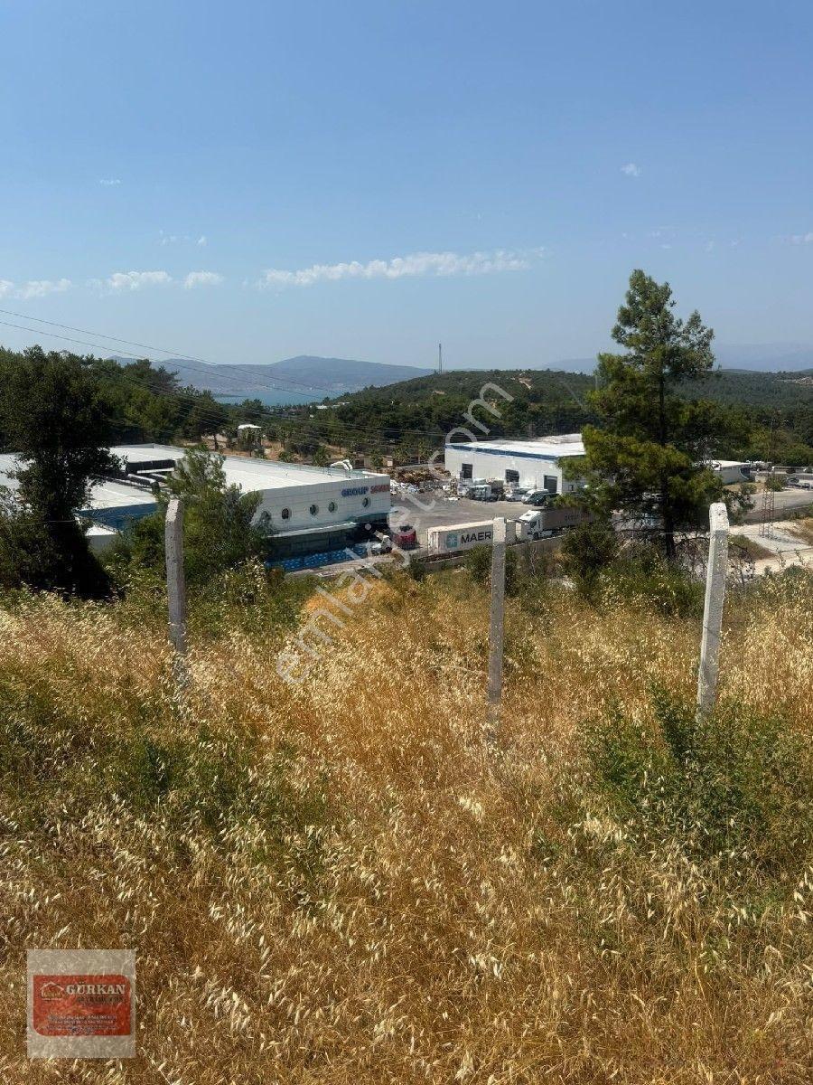 🌿 Urla İçmeler’de Deniz Manzaralı 415 M² Bağımsız Parsel — fotoğraf 24
