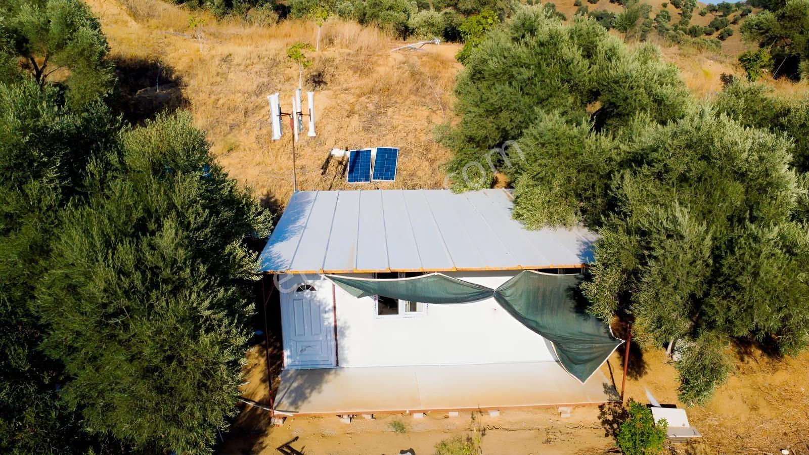 İçinde Evi Olan Tek Tapu 3280 M2 Zetin Ve İncir Bahçesi — fotoğraf 15