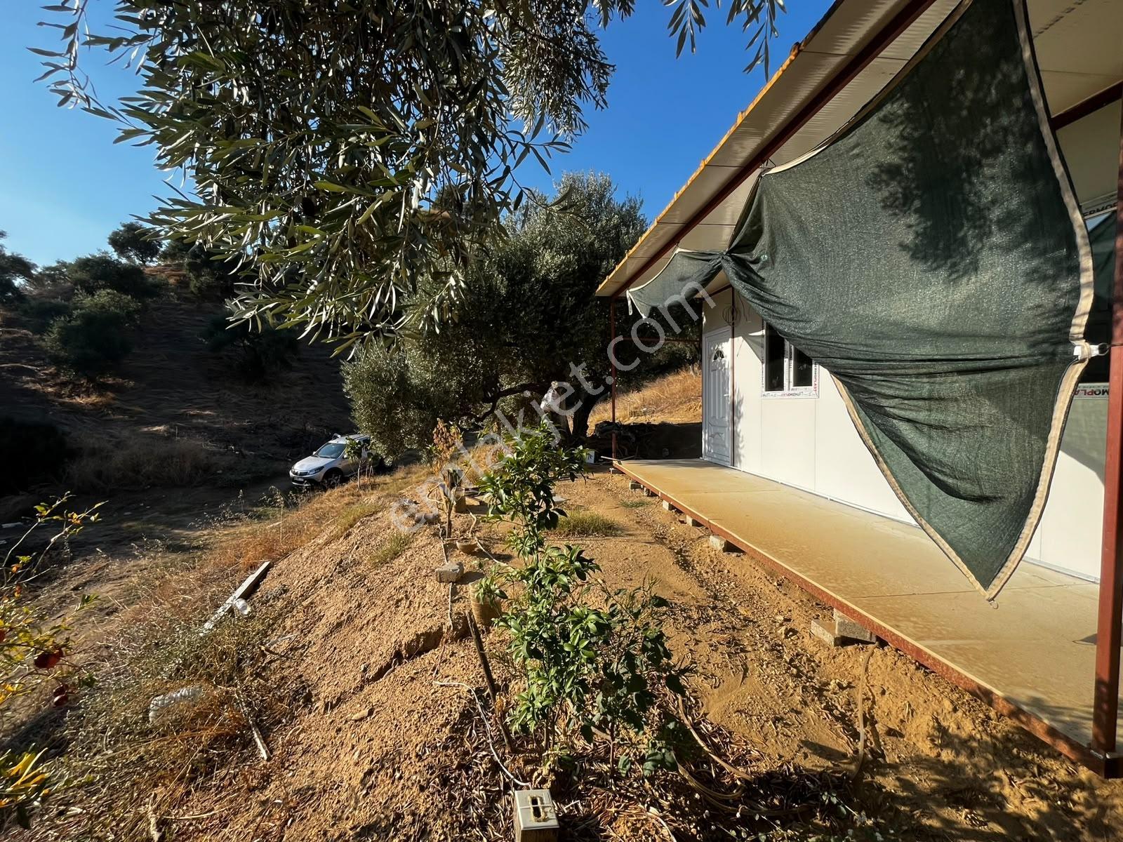 İçinde Evi Olan Tek Tapu 3280 M2 Zetin Ve İncir Bahçesi — fotoğraf 17