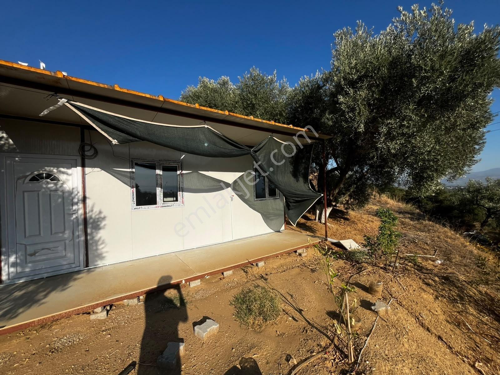 İçinde Evi Olan Tek Tapu 3280 M2 Zetin Ve İncir Bahçesi — fotoğraf 19