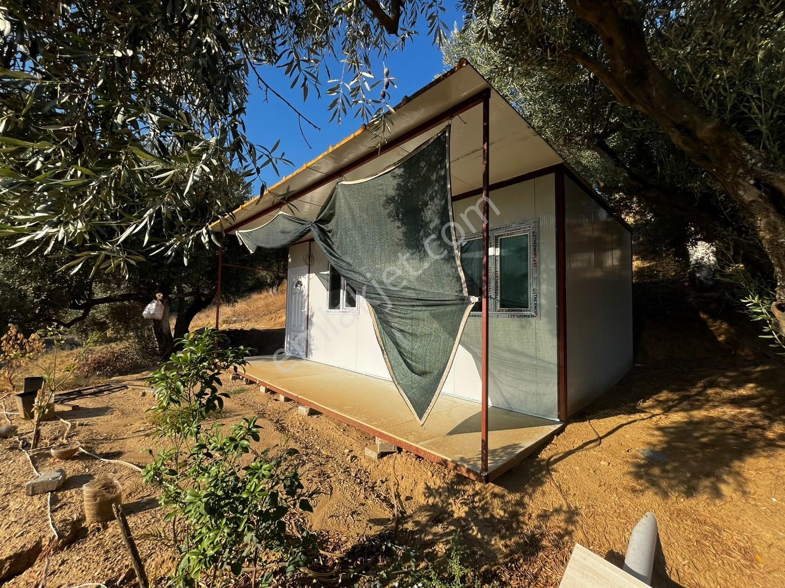 İçinde Evi Olan Tek Tapu 3280 M2 Zetin Ve İncir Bahçesi — fotoğraf 23