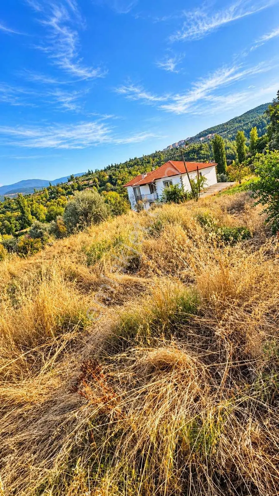 Muğla Kavaklıdere Çayboyu Satılık 2 Villa'lık Arsa — fotoğraf 4