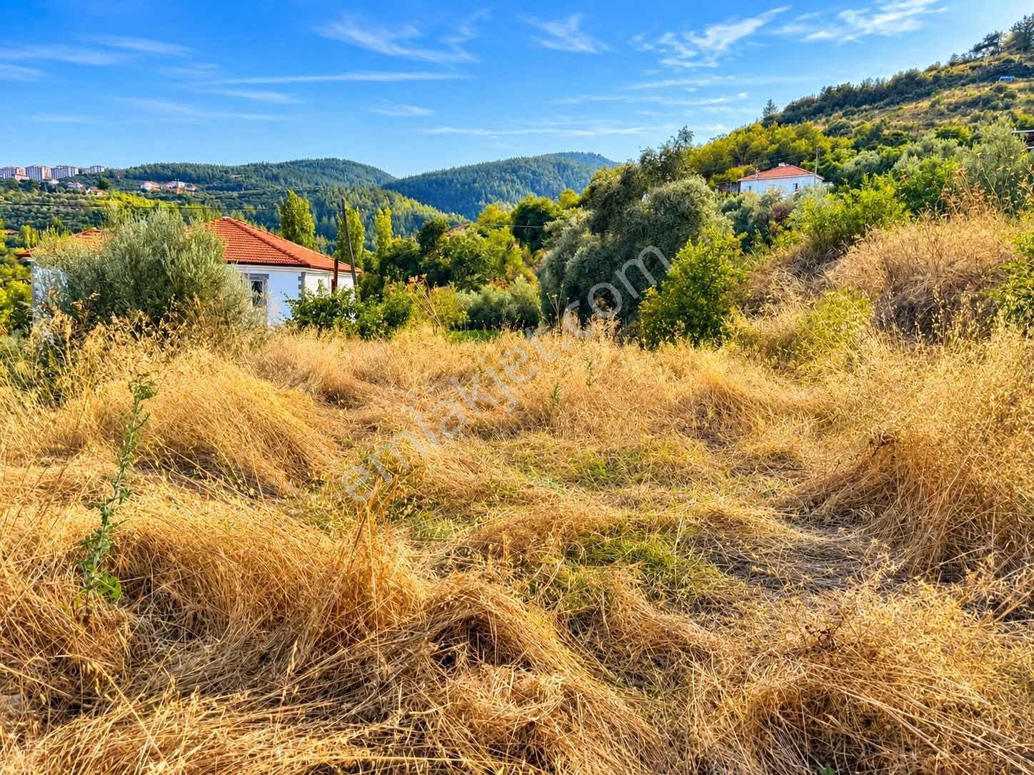 Muğla Kavaklıdere Çayboyu Satılık 2 Villa'lık Arsa — fotoğraf 6