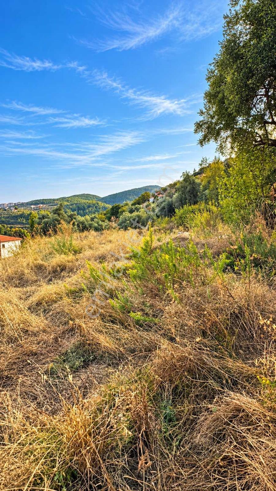 Muğla Kavaklıdere Çayboyu Satılık 2 Villa'lık Arsa — fotoğraf 7