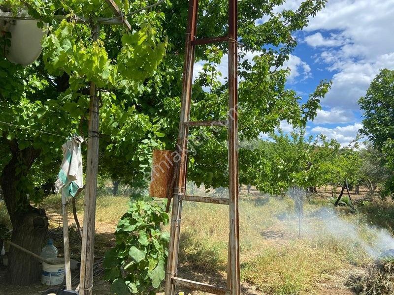 Menderes Değirmendere'de Mahallesin'de Satılık Bahçe — fotoğraf 20