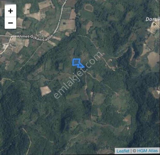 Yatırımlı Satılık Arsa 4,5 Dönüm — fotoğraf 3