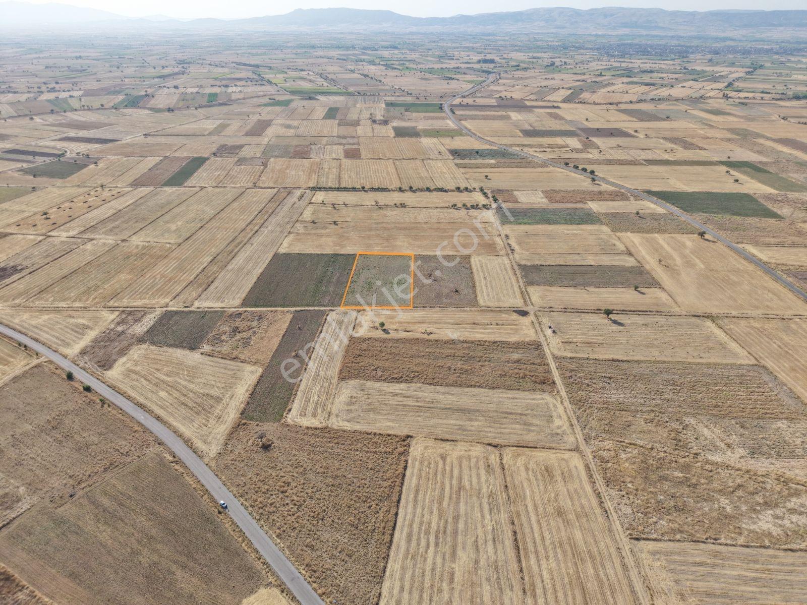 Lobby Fortis'ten Çivril Kıralan'da 6.835 M2 Satılık Tarla — fotoğraf 9