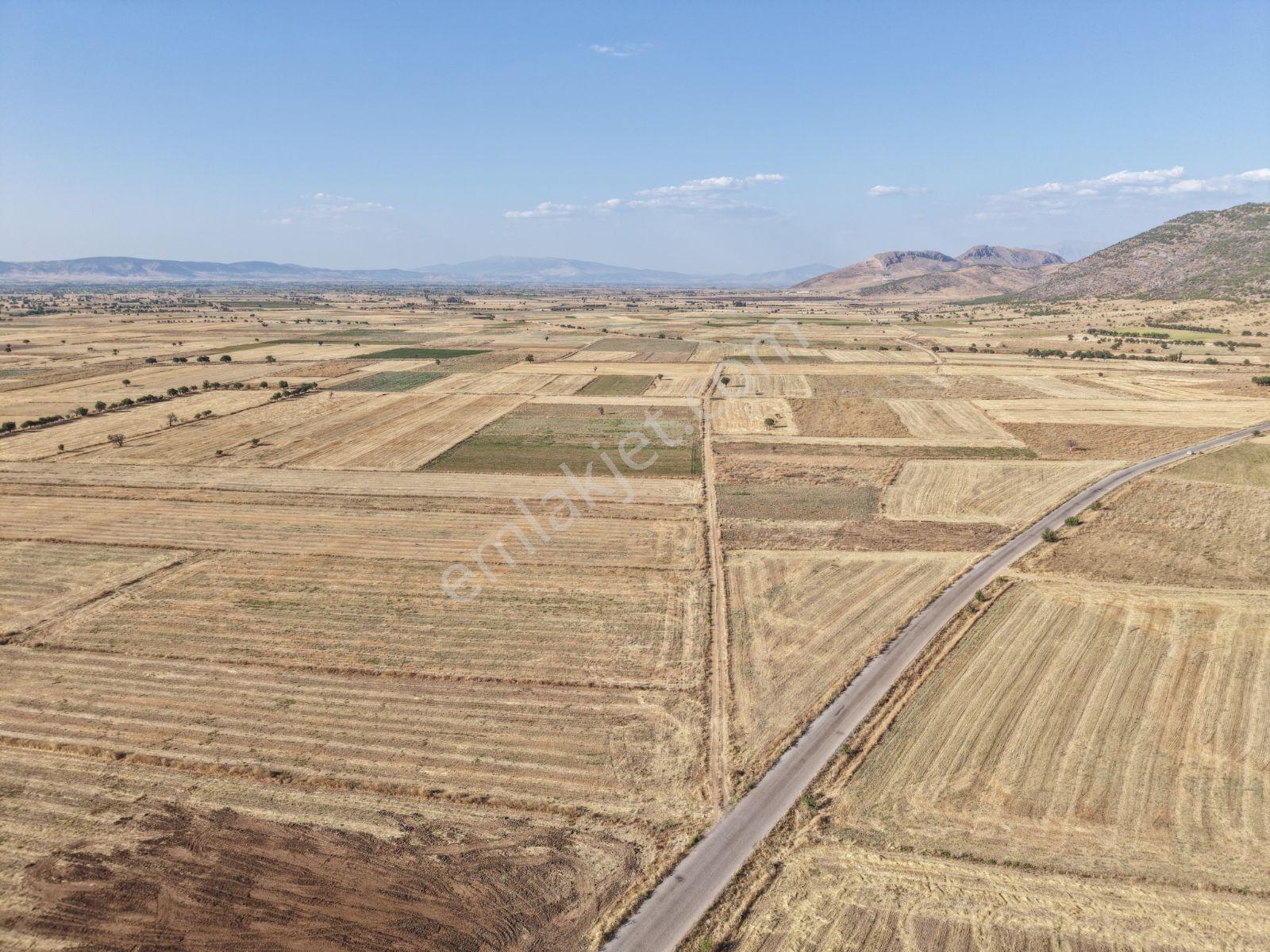 Lobby Fortis'ten Çivril Kıralan'da 6.835 M2 Satılık Tarla — fotoğraf 11