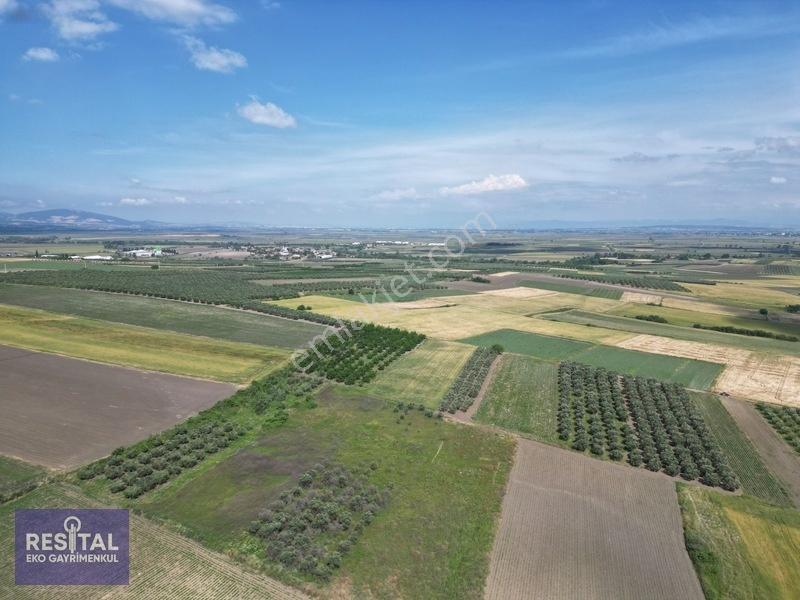 Karacabey Sultaniye 3.875 M2 Müstakil Tapulu Tarla — fotoğraf 3