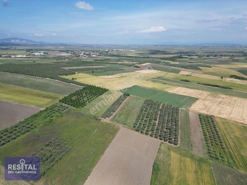 Karacabey Sultaniye 3.875 M2 Müstakil Tapulu Tarla — fotoğraf 4