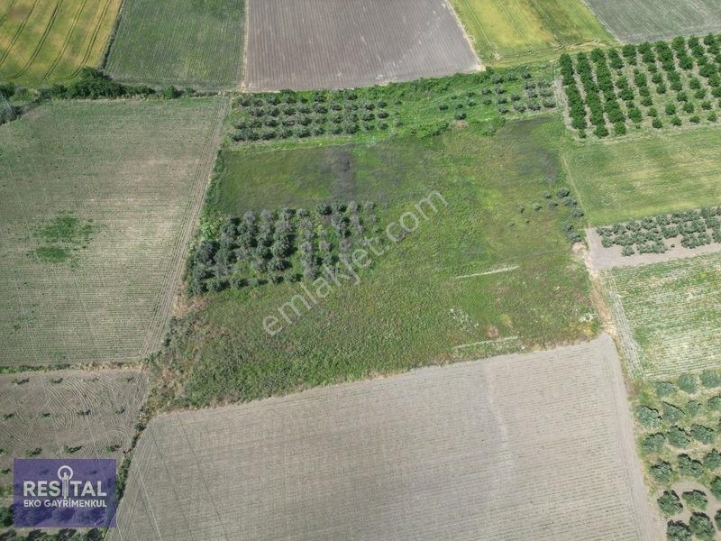 Karacabey Sultaniye 3.875 M2 Müstakil Tapulu Tarla — fotoğraf 5